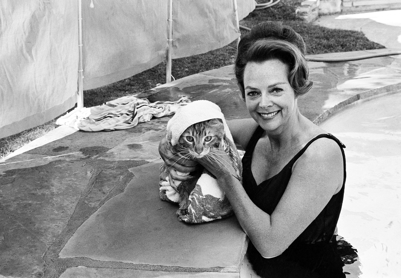 Illustration for article titled Here's a Lady Taking Her Cat for a SwimÂ